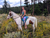 Horse Medicine Yoga Legging - Wanderlust + Wildhearts