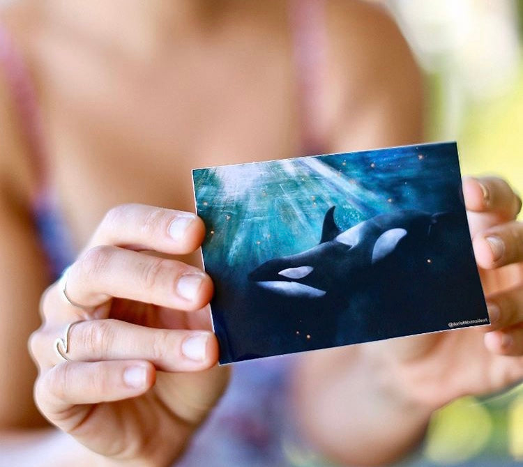 Orca- Copper Sticker - Wanderlust + Wildhearts