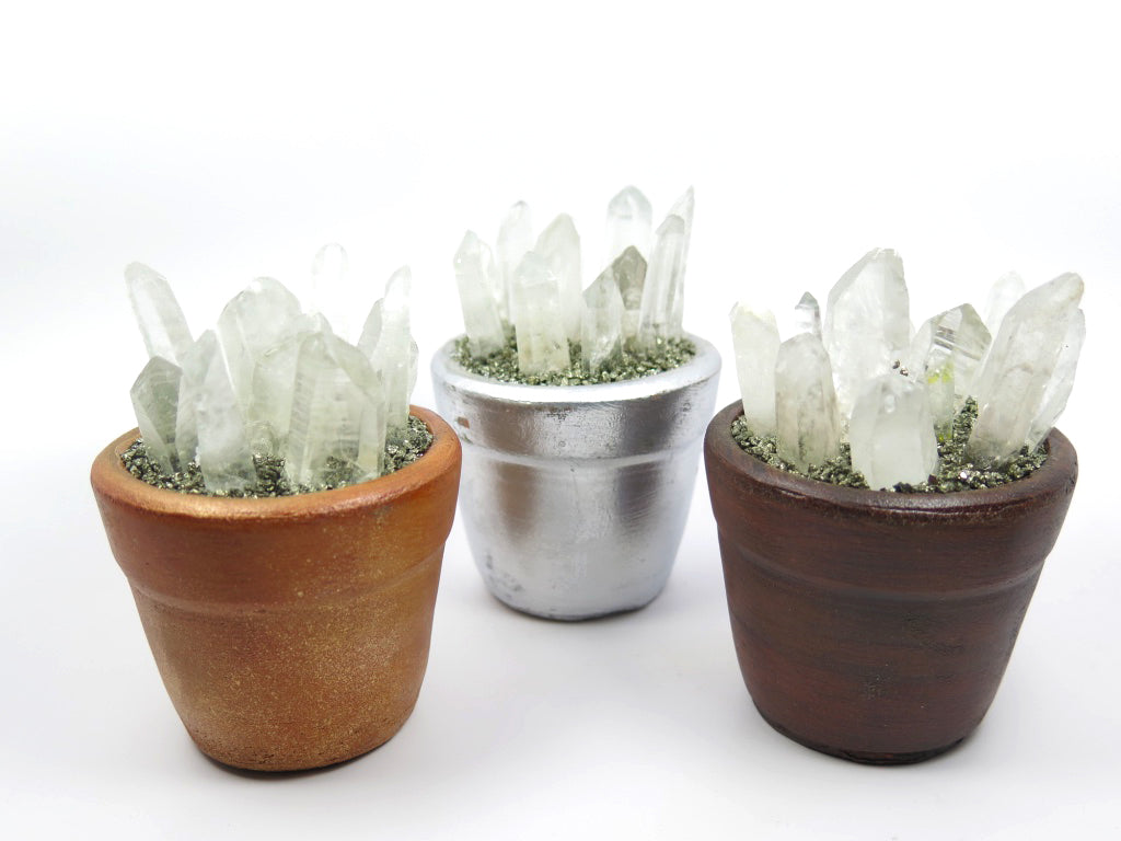 Crystal Ollitas - Wanderlust + Wildhearts