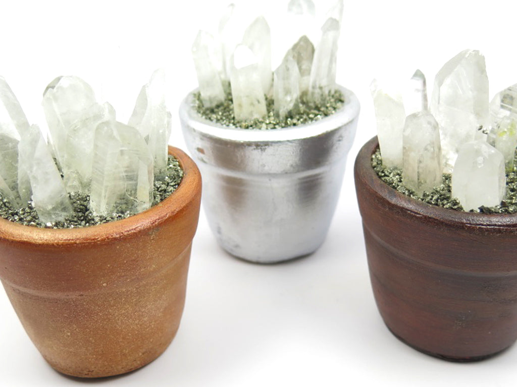 Crystal Ollitas - Wanderlust + Wildhearts