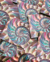 Spiral Nautilus- Holographic Sticker - Wanderlust + Wildhearts