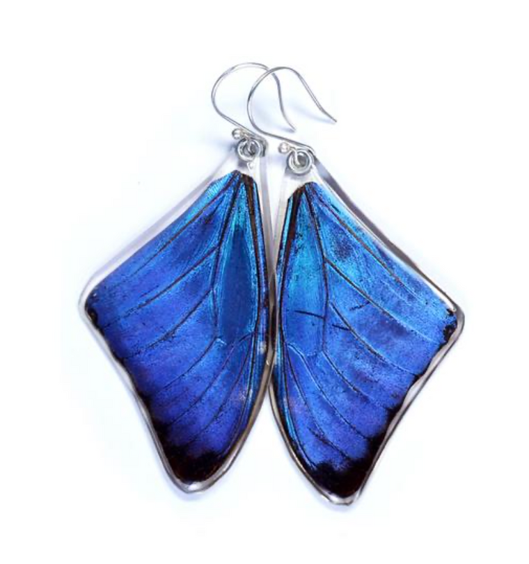 Butterfly Wing Earrings- Blue Morpho Adonis - Wanderlust + Wildhearts