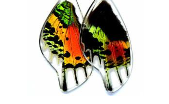 Butterfly Wing Earrings- Sunset Moth Bottom Wing - Wanderlust + Wildhearts