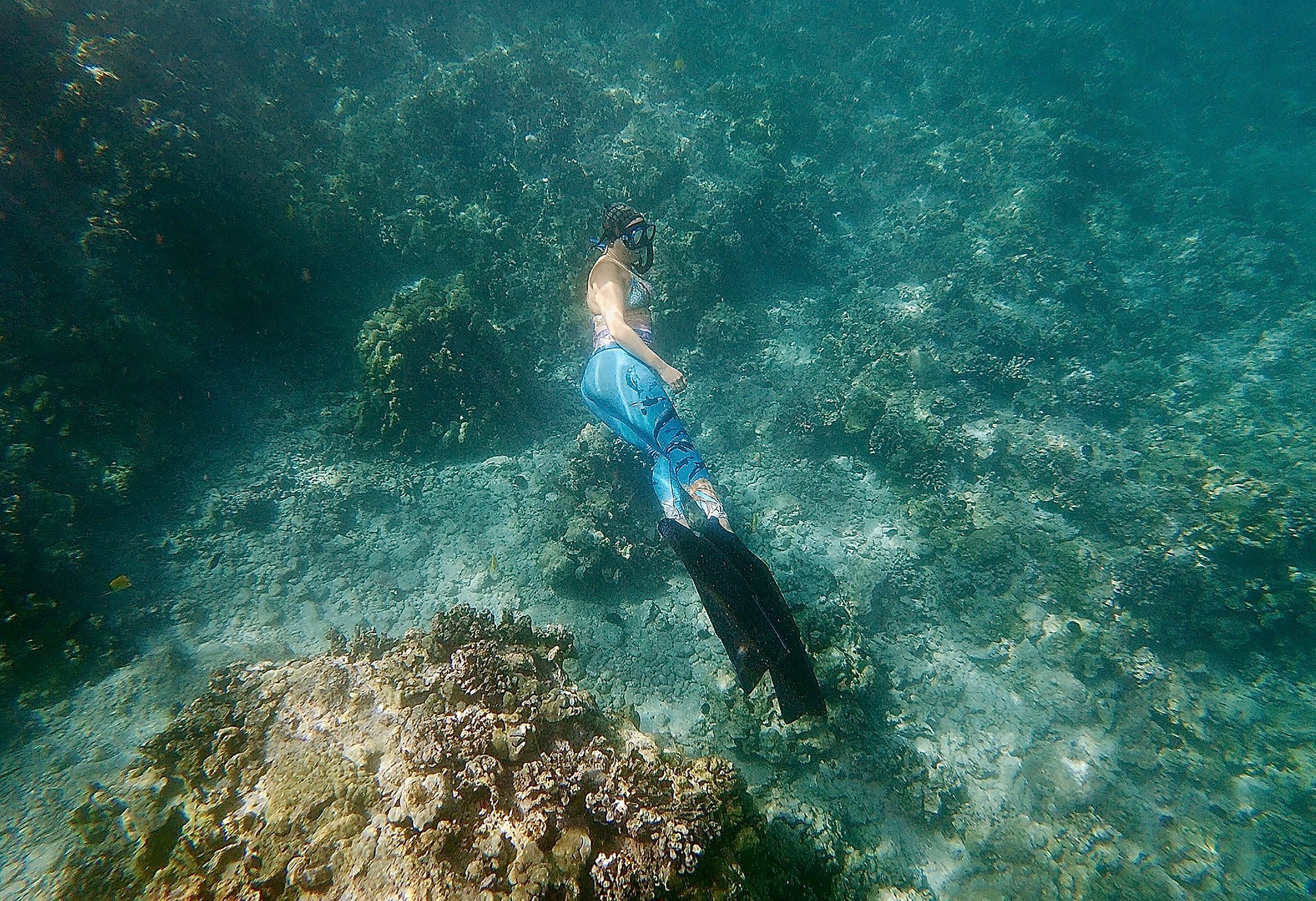 Whale Song Yoga Legging - Wanderlust + Wildhearts