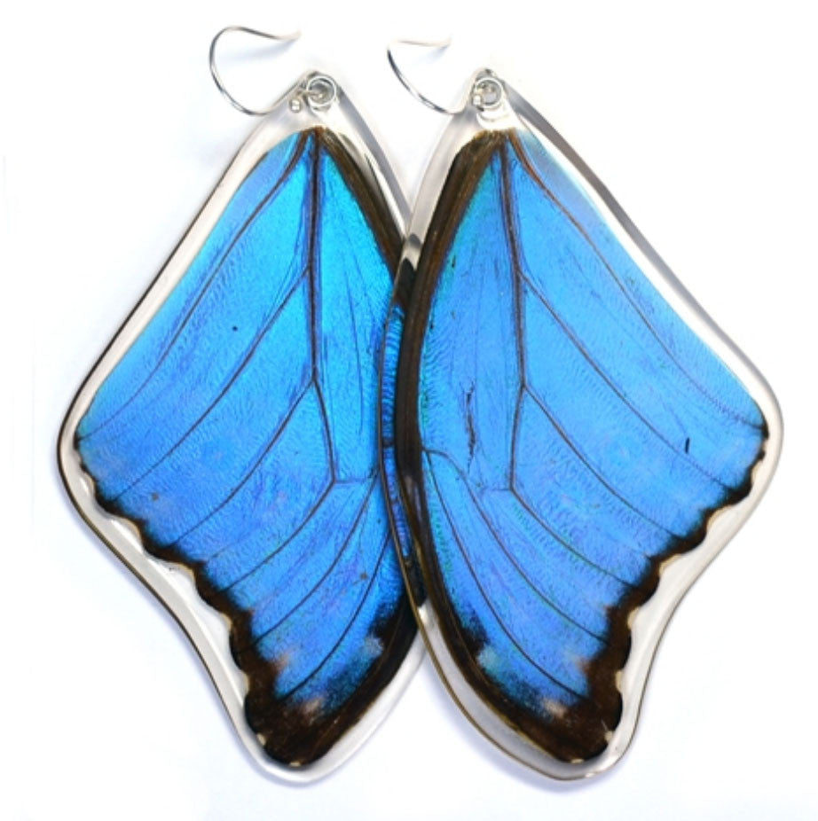 Butterfly Wing Earrings- Giant Blue Morpho - Wanderlust + Wildhearts