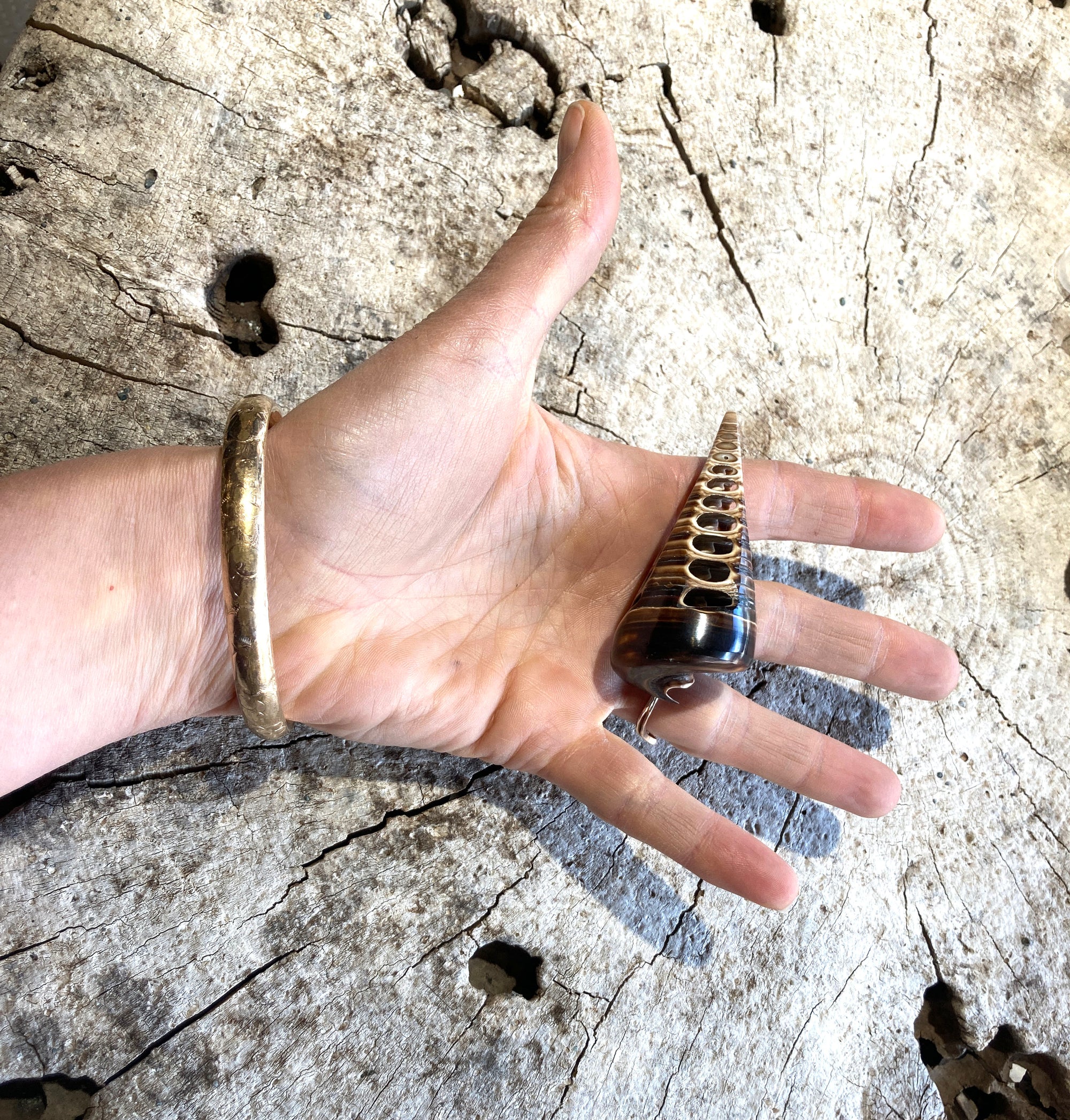 Matrix Telescopium Shell - Wanderlust + Wildhearts