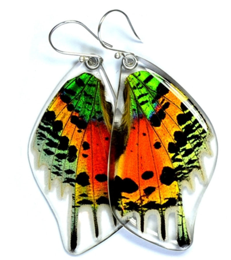 Butterfly Wing Earrings- Sunset Moth Bottom Wing - Wanderlust + Wildhearts