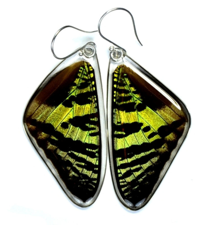 Butterfly Wing Earrings- Sunset Moth Top Wing - Wanderlust + Wildhearts